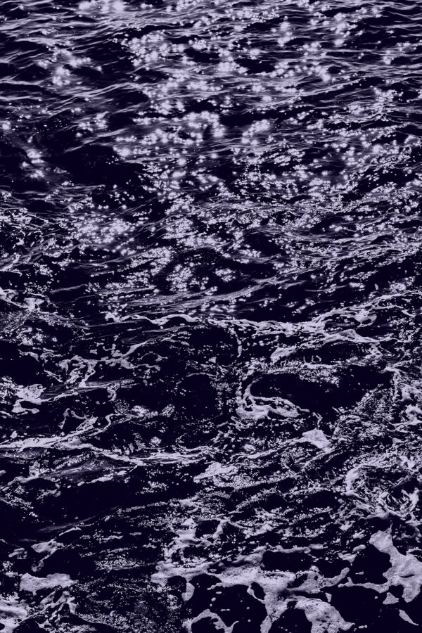 Ornaments of the vasteness n°11