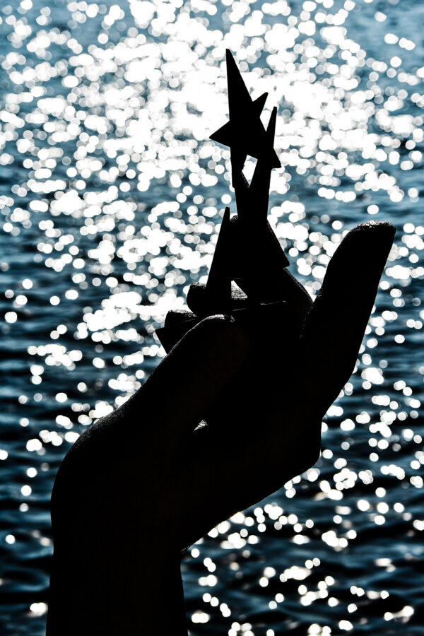 Ornaments of the vasteness n°2