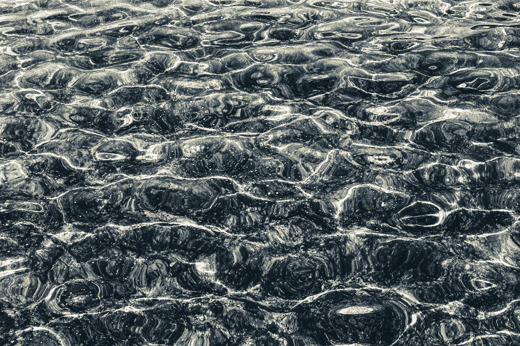 Photographe : Ornaments of the vasteness n°4