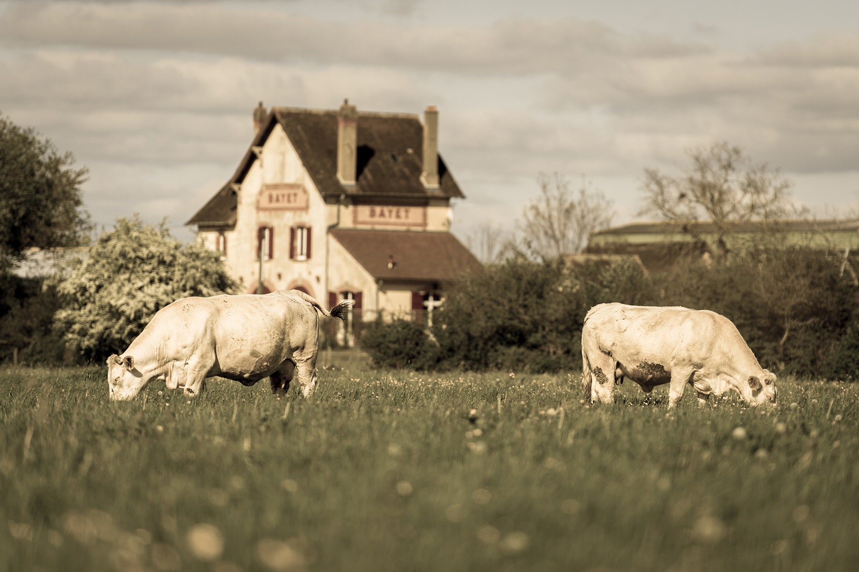 Photographe : Taking the country roads n°23
