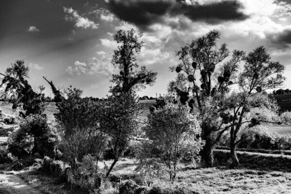 Taking the country roads n°24