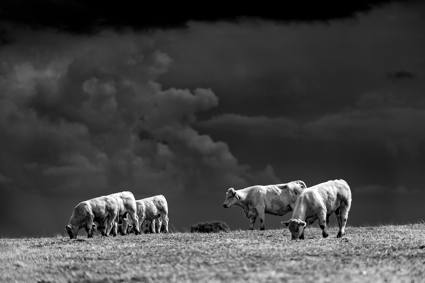 Photographe : Taking the country roads n°3