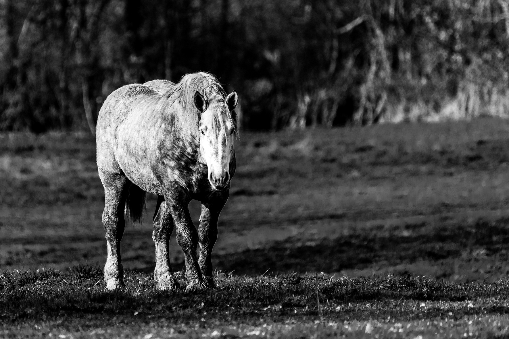 Photographe : Taking the country roads n°5