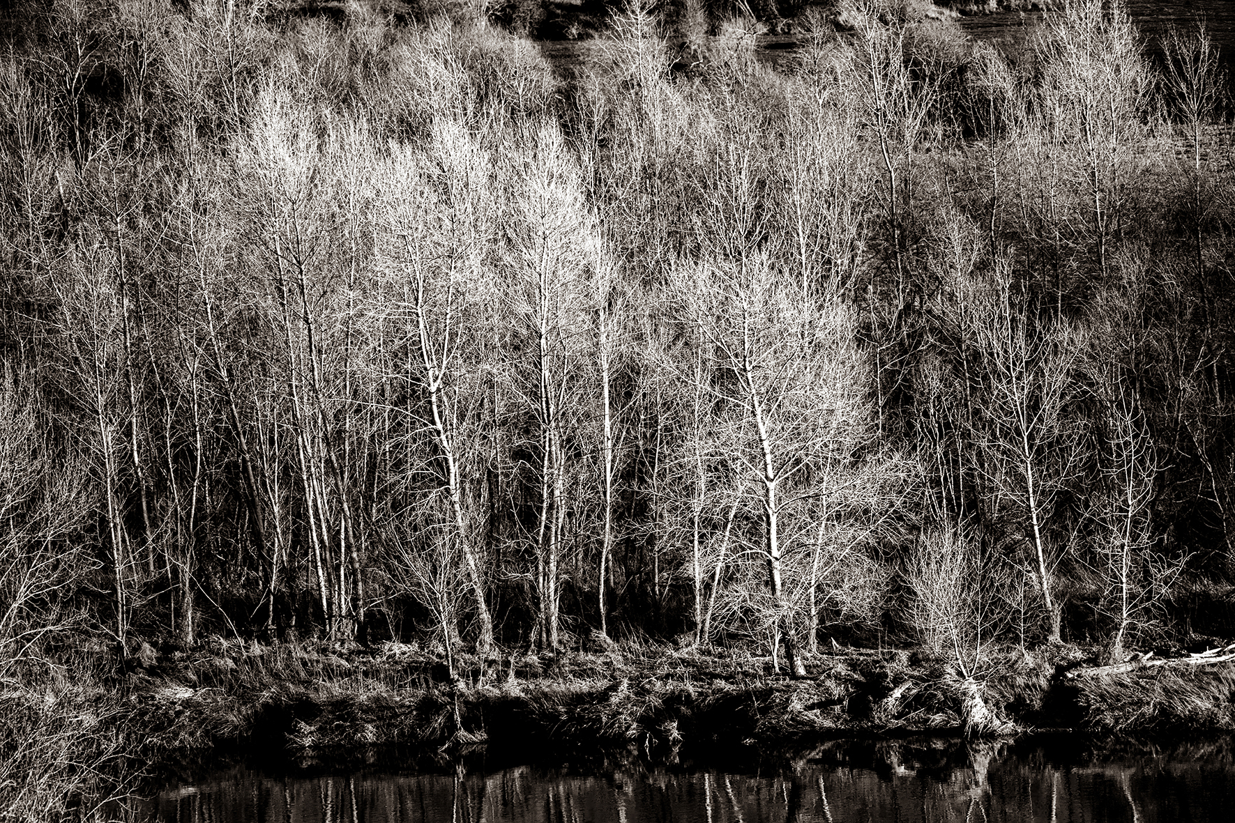 Photographe : Taking the country roads n°6