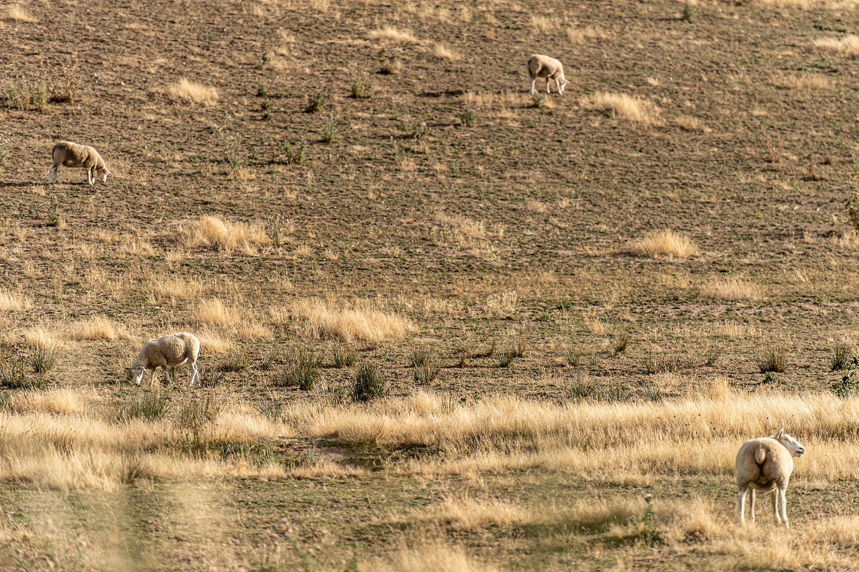 Photographe : Prendre les petites routes n°9