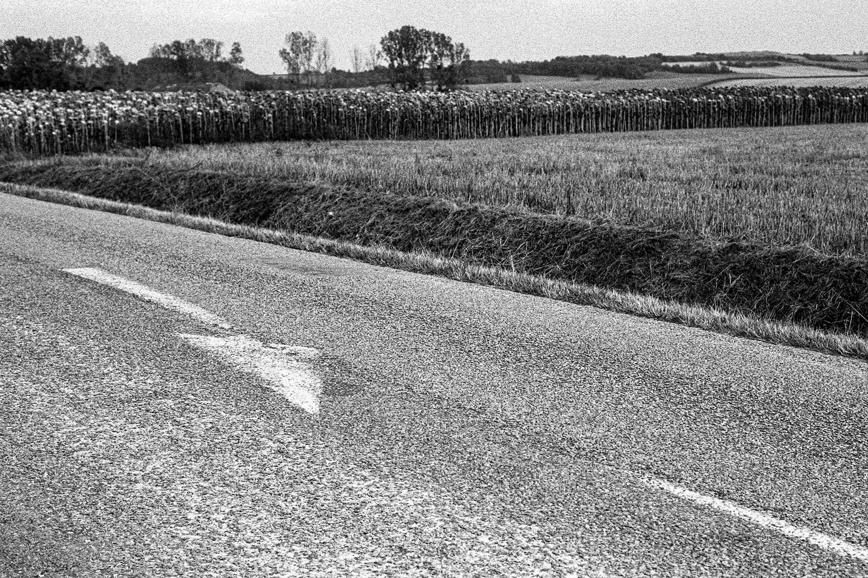 Photographe : Taking the country roads n°12