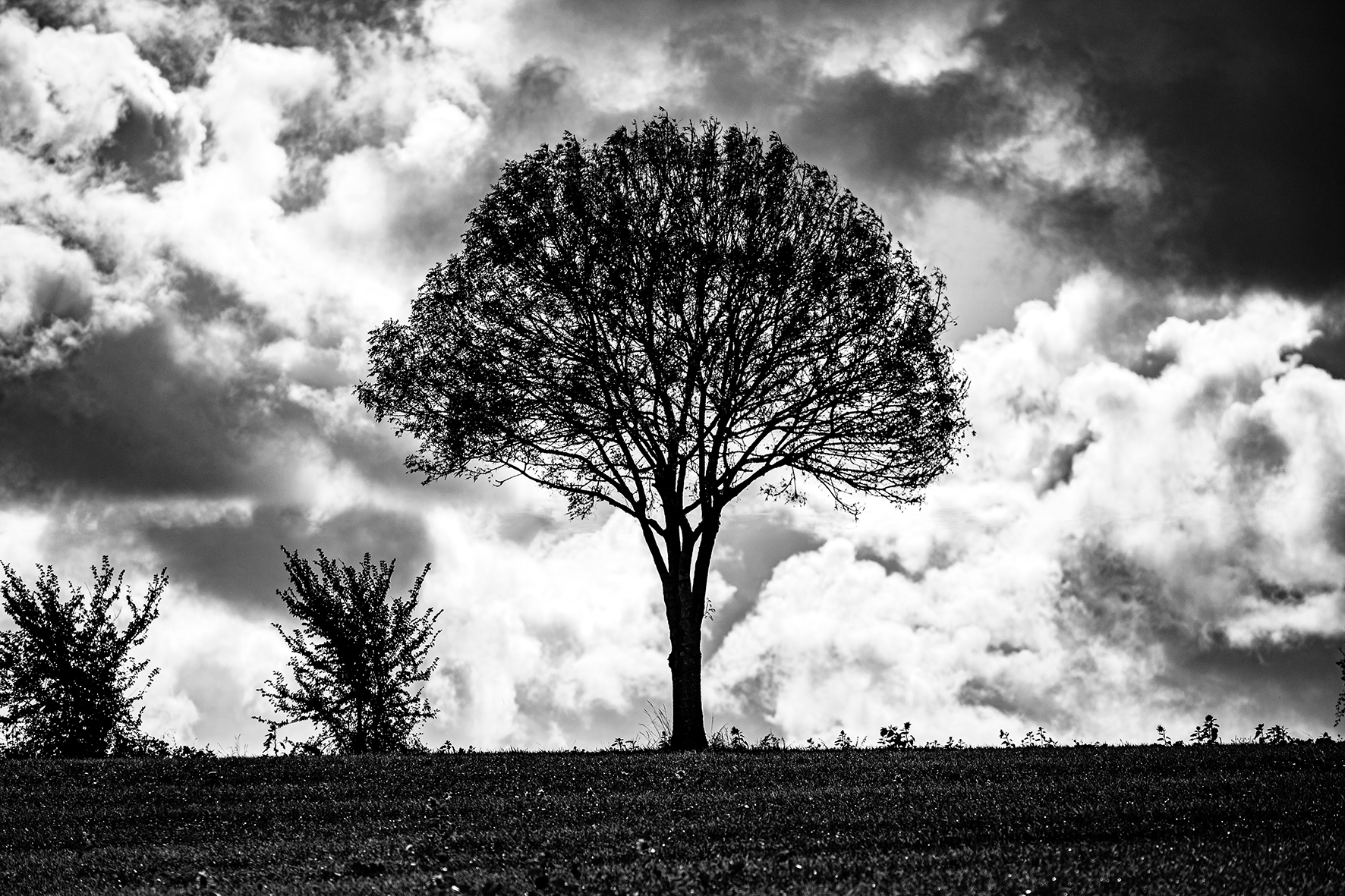 Photographe : Taking the country roads n°15