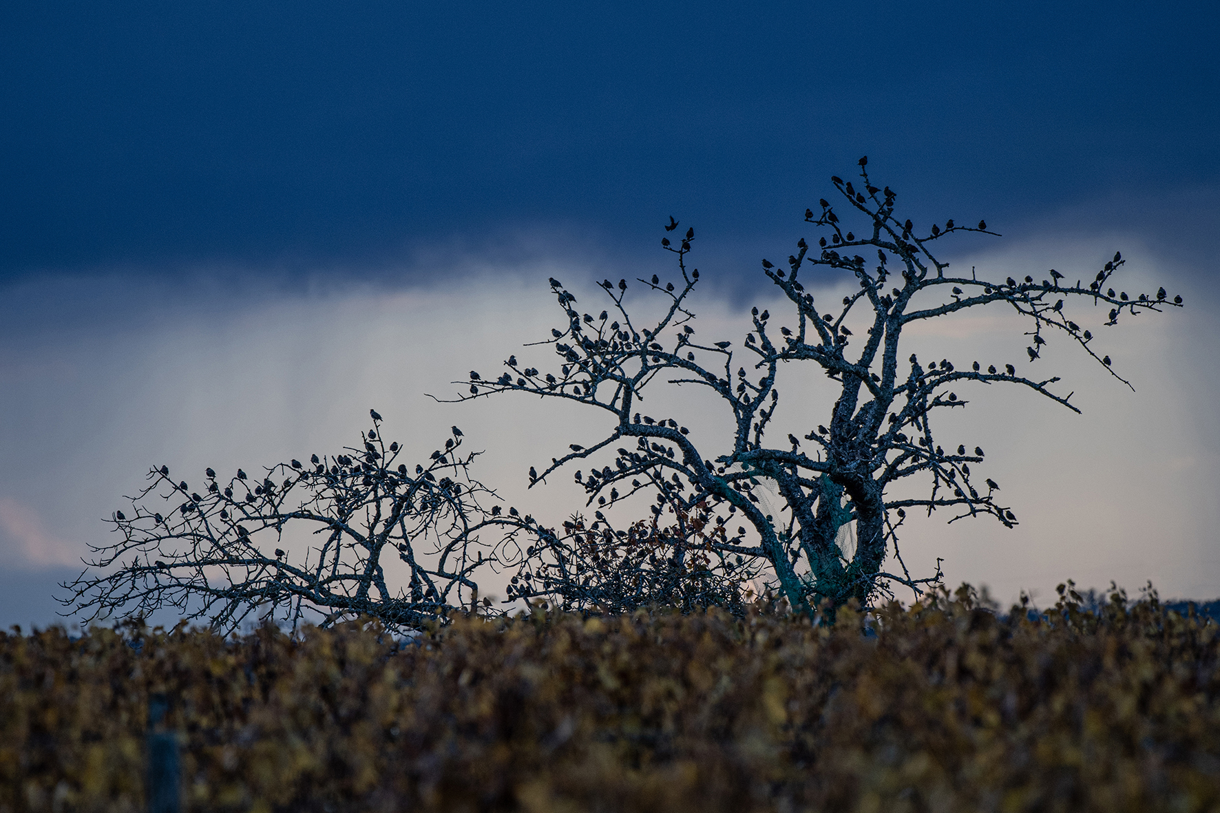 Photographe : Taking the country roads n°16