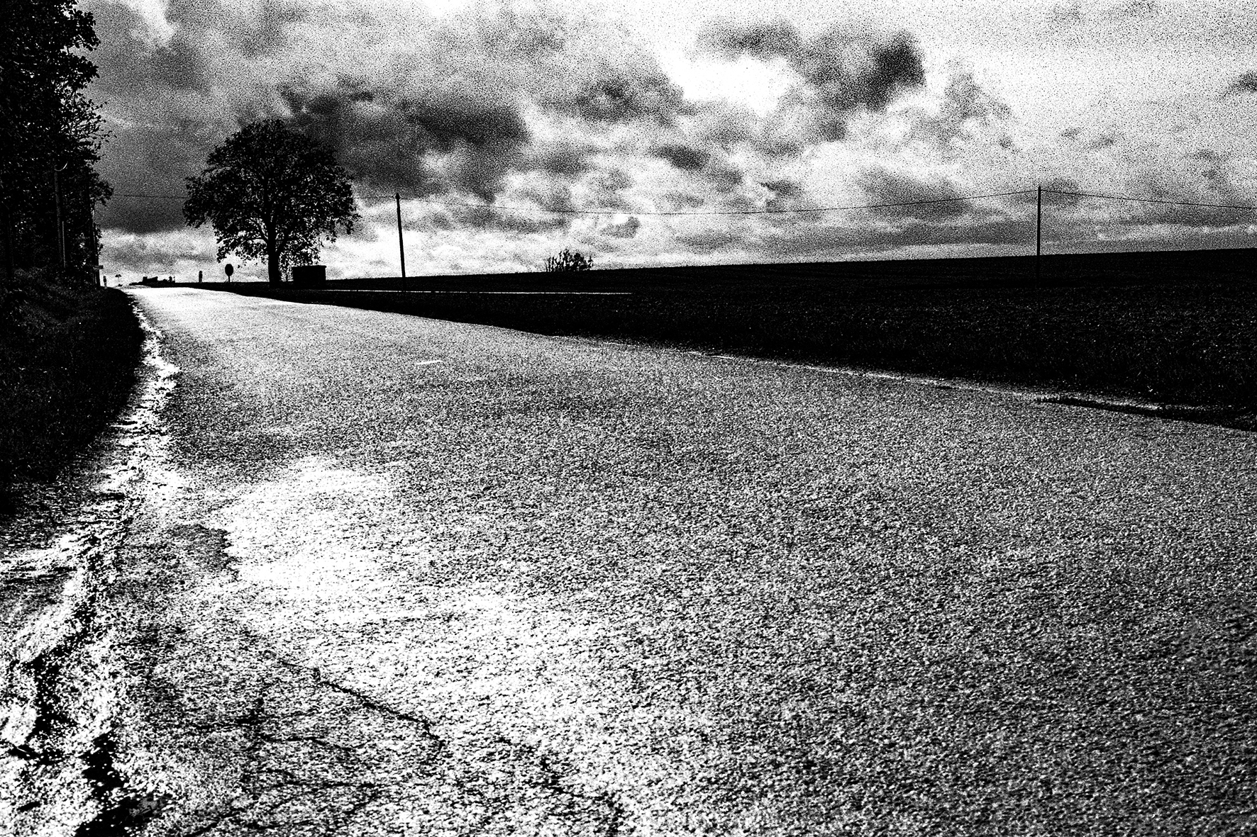 Photographe : Taking the country roads n°18