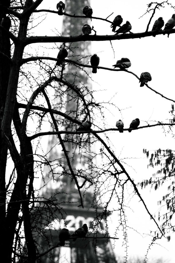Eiffel #01