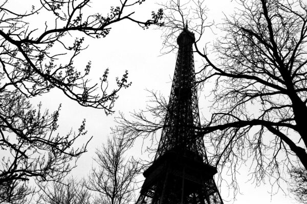 Eiffel #11