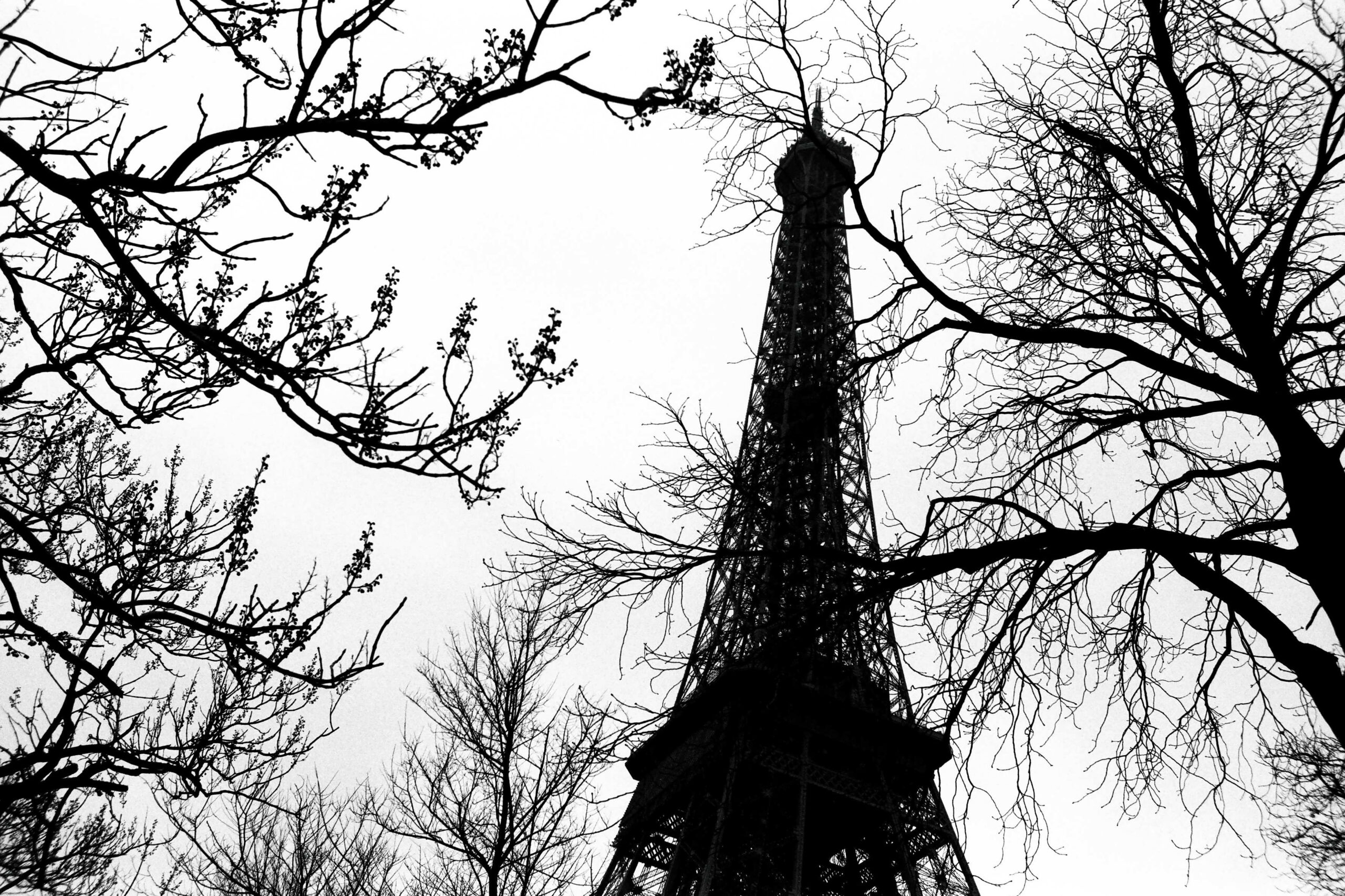 Photographe : Eiffel #11